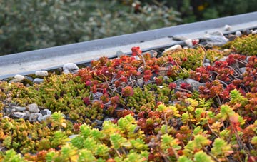 the cost of Burnham Norton green roof installation