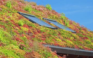 Burnham Norton living roof systems
